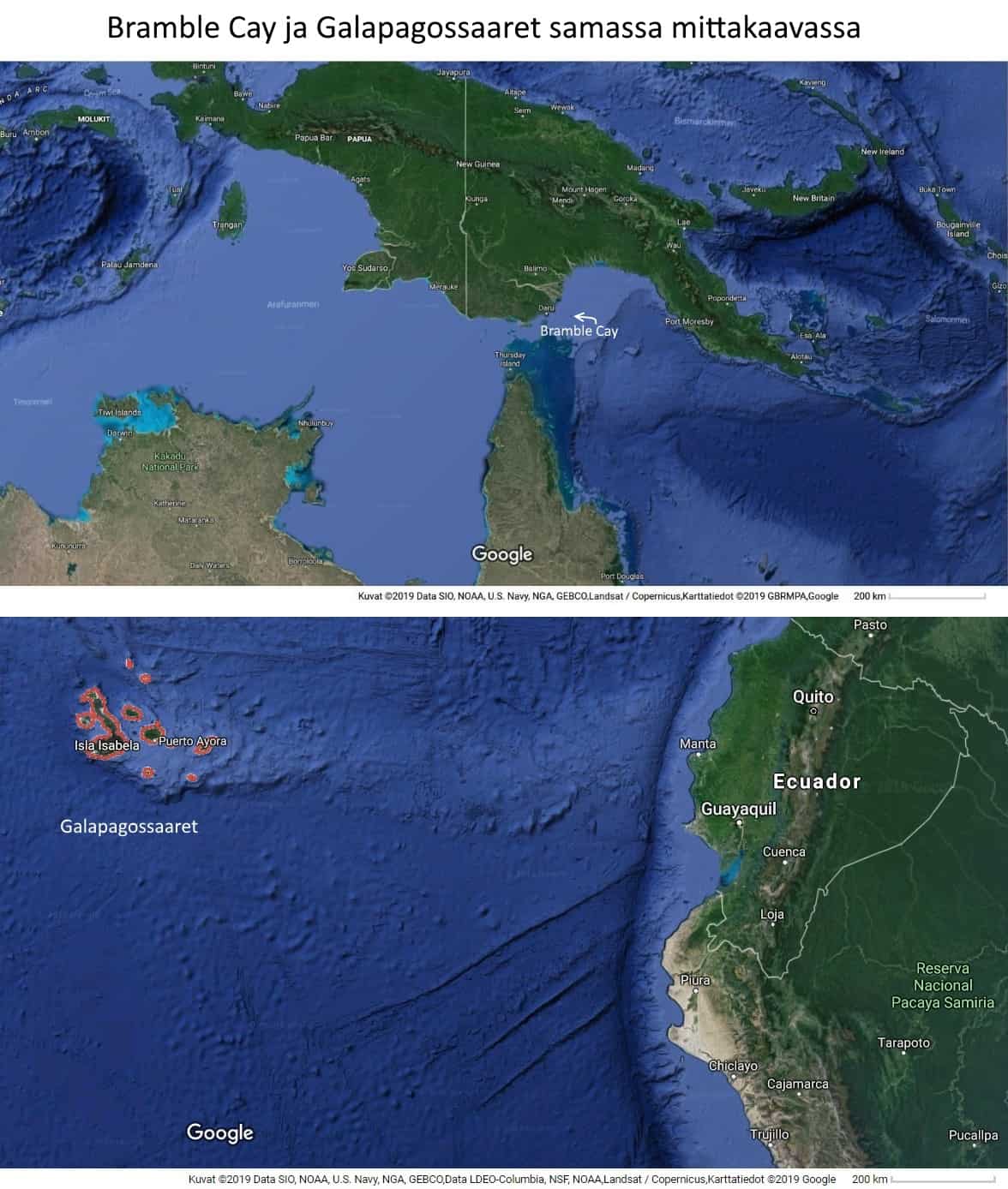 Bramble Cay ja Galapagossaaret samassa mittakaavassa. Bramble Cay On niin pieni, ettei sitä kartassa edes näy, mutta näemme sen sijaitsevan suorastaan Uuden Guinean kainalossa.